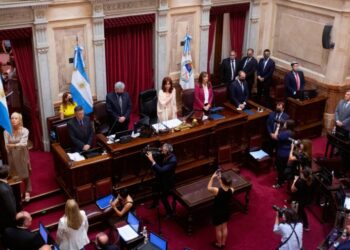 El Senado debate el respaldo al acuerdo con el Fondo Monetario Internacional