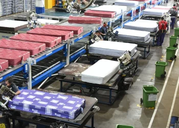 Grupo Piero cambió su nombre y ahora es Bitali