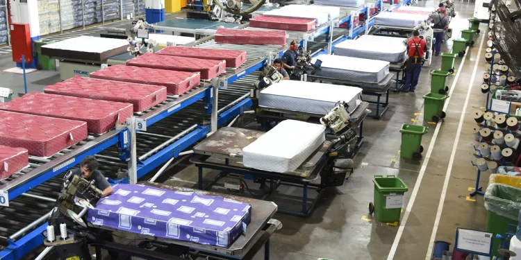 Grupo Piero cambió su nombre y ahora es Bitali