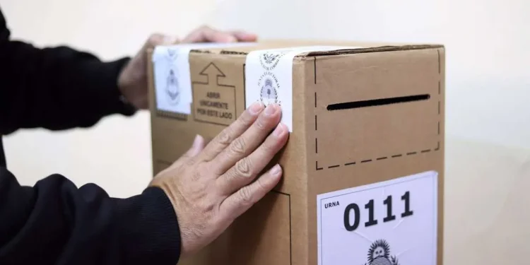 PASO 2023: ¿qué pasa si no voto?