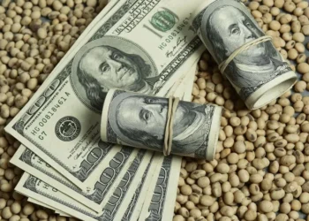 Alivio para la economía: el ingreso de dólares del agro fue el mejor del año en julio