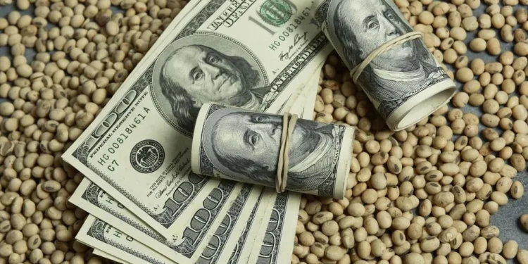 Alivio para la economía: el ingreso de dólares del agro fue el mejor del año en julio