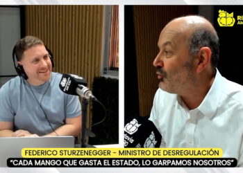 “¿Vos qué hacés?”, la pregunta que impuso Federico Sturzenegger para aplicar la “deep motosierra” y achicar el Estado