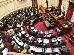 El Senado reactivará la emergencia en discapacidad