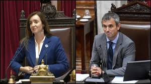 la oposición reclama a Menem y Villarruel que formen comisiones para analizar los cambios