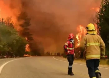 Milei y el Agradecimiento por los Incendios