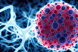 11 tipos de cáncer en jóvenes que desafía a la ciencia