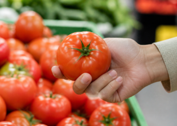 Evita aplastar el tomate: la clave para saber si está maduro