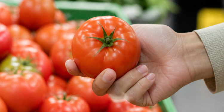 Evita aplastar el tomate: la clave para saber si está maduro