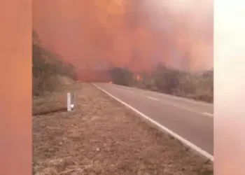 Un incendio de grandes proporciones afecta Jujuy y causa el cierre de la Ruta 9