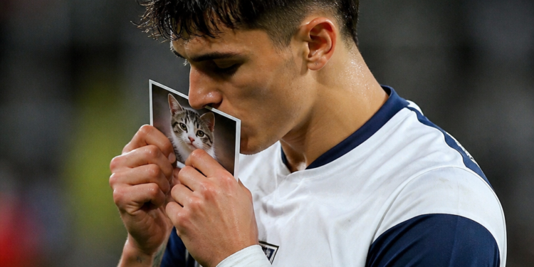 El emotivo tributo de un futbolista argentino a un gato del club