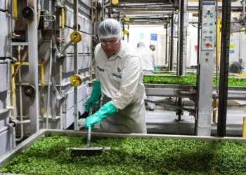 Unilever cerrará una planta de Knorr en Mendoza y desvinculará a 60 trabajadores