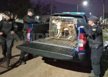 Imputación a propietarios de pitbull que atacó y causó la muerte de un niño de 3 años en Córdoba