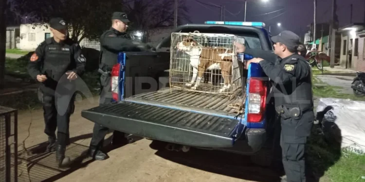 Imputación a propietarios de pitbull que atacó y causó la muerte de un niño de 3 años en Córdoba