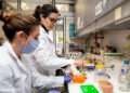 Investigadores argentinos descubren que la inhibición de una proteína puede potenciar la respuesta a la inmunoterapia en el cáncer de hígado