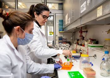 Investigadores argentinos descubren que la inhibición de una proteína puede potenciar la respuesta a la inmunoterapia en el cáncer de hígado