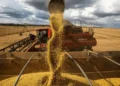 La liquidación del agro cayó en julio pese al récord exportador y mantiene la expectativa sobre el ingreso de dólares
