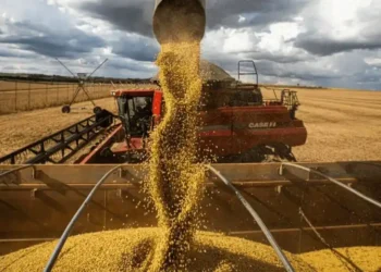 La liquidación del agro cayó en julio pese al récord exportador y mantiene la expectativa sobre el ingreso de dólares