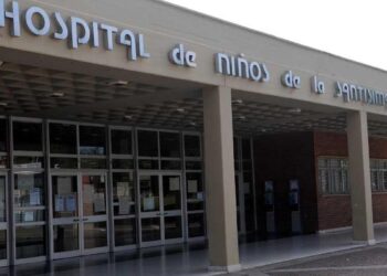 El niño de 2 años mordido por un dogo fue sometido a cirugía por las heridas faciales: estado de salud actual
