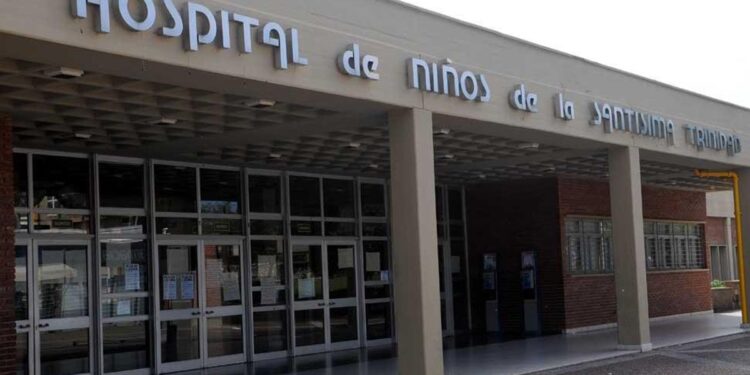 El niño de 2 años mordido por un dogo fue sometido a cirugía por las heridas faciales: estado de salud actual