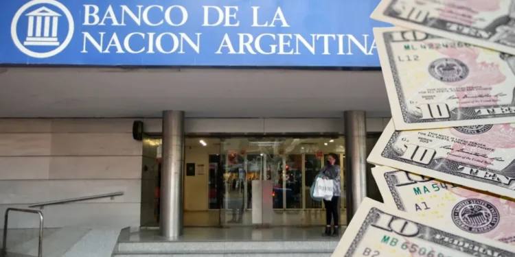 Cotización del dólar blue y otras referencias cambiarias al 25 de agosto