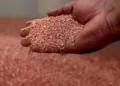 Cobre y litio: perspectivas críticas según un destacado banco internacional sobre la minería en Argentina