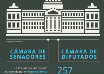 Un informe señala un notable incremento en las consultas e internaciones por salud mental en Argentina