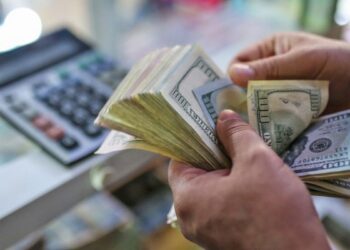 Proyecciones sobre la compra de dólares por parte de los argentinos hasta finales de 2026