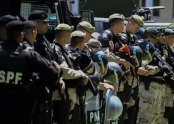 El Gobierno creó nuevos suplementos salariales para las fuerzas federales y el Servicio Penitenciario