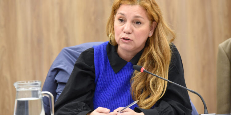 La UCR pedirá información oficial sobre los rechazos migratorios mencionados por Milei