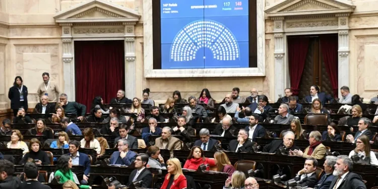 Diputados avanzó con el tratamiento de la emergencia en discapacidad y el alivio para deudores morosos