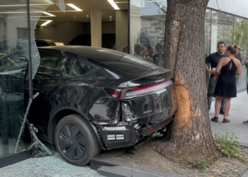 Impactante accidente: un hombre descontrola un auto eléctrico en una concesionaria y choca contra un árbol