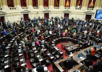 Diputados frenó el debate sobre el endeudamiento familiar y el proyecto volvió a comisión