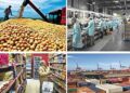 La economía tuvo un leve repunte en septiembre, pero las proyecciones de crecimiento para 2026 siguen en baja